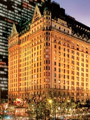 L'albergo Plaza - Foto https://sites.psu.edu/newyorkforlife/2014/03/28/the-plaza-hotel-our-centurys-standard-of-luxury/
